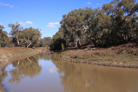 The Barwon Inn 38449 Kamiloroi Highway, Walgett
