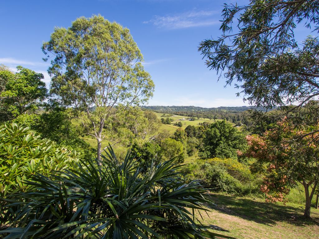 28 Thompson Road Dulong Queensland House for Sale RE/MAX Australia