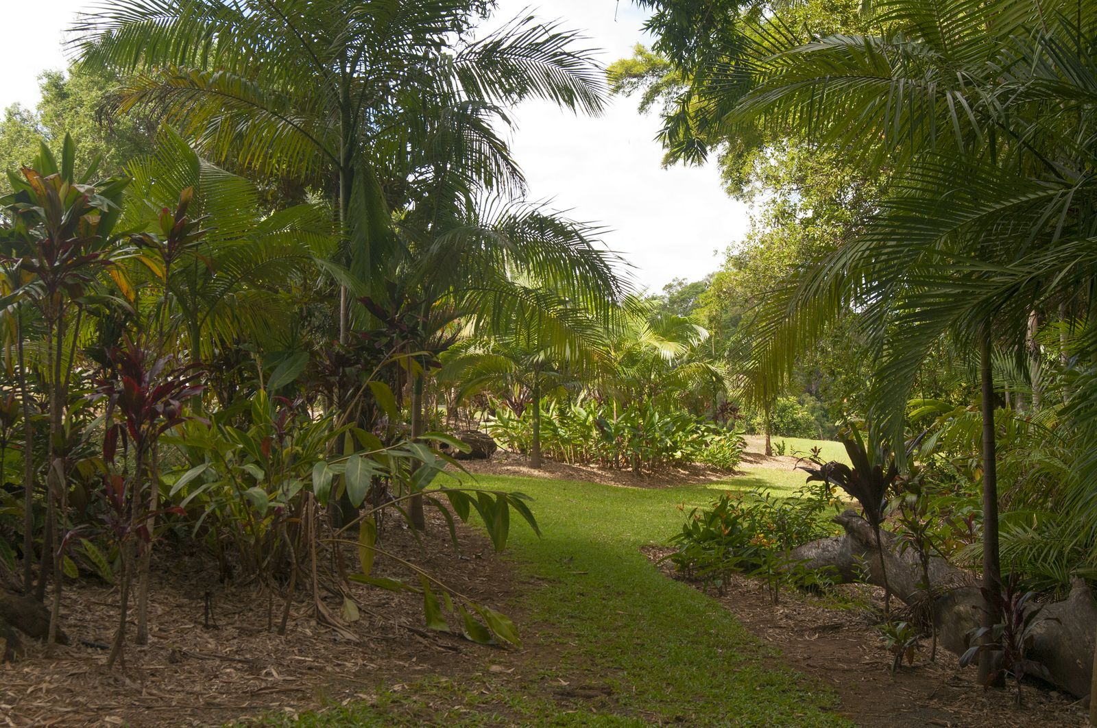 14 Merinda Drive Palmwoods Queensland House for Sale RE/MAX Australia