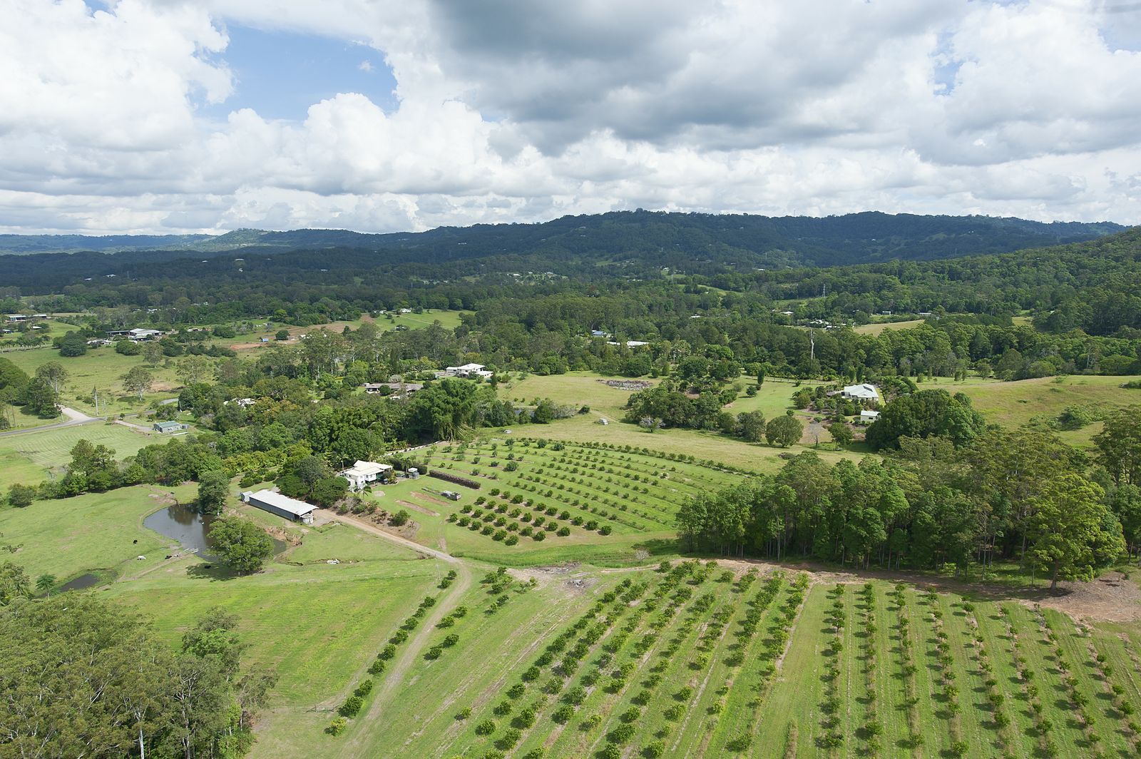 14 Merinda Drive Palmwoods Queensland House for Sale RE/MAX Australia