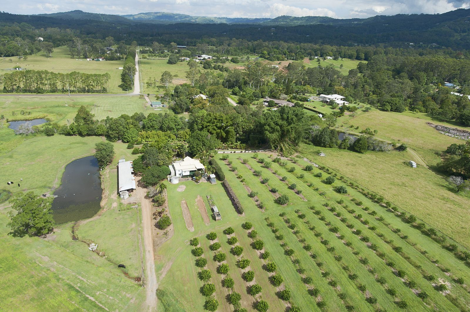 14 Merinda Drive Palmwoods Queensland House for Sale RE/MAX Australia