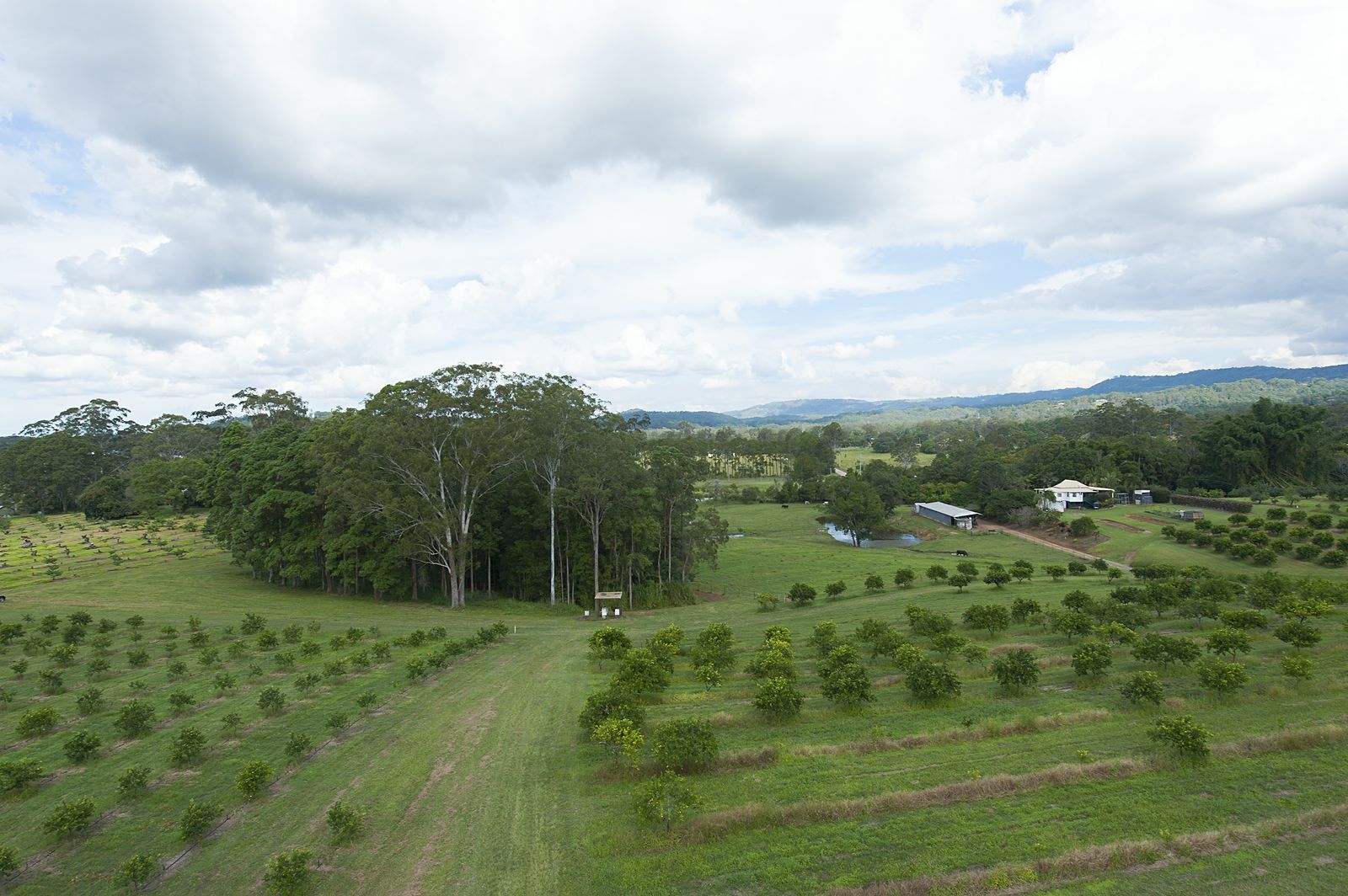 14 Merinda Drive Palmwoods Queensland House for Sale RE/MAX Australia