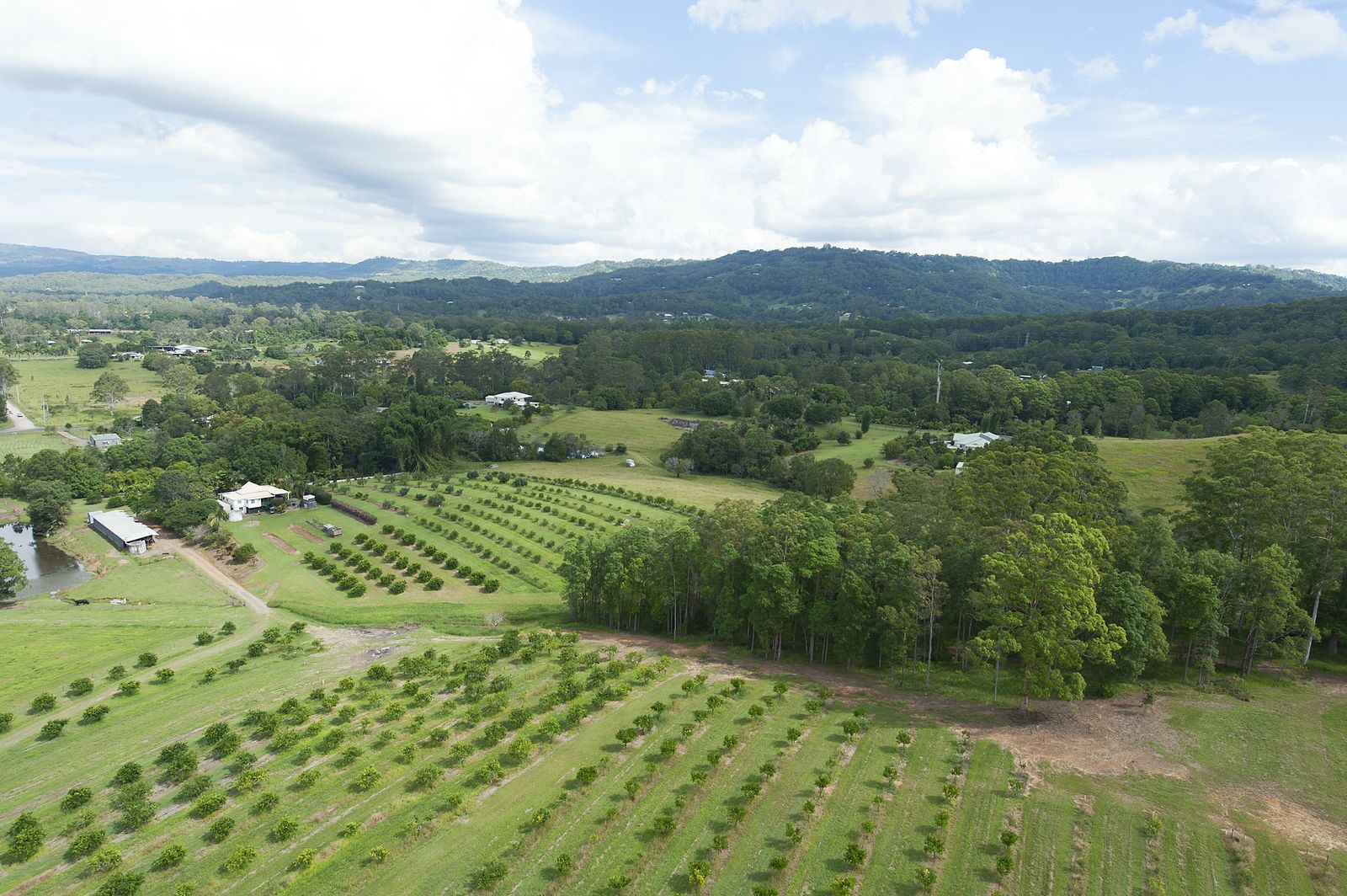 14 Merinda Drive Palmwoods Queensland House for Sale RE/MAX Australia