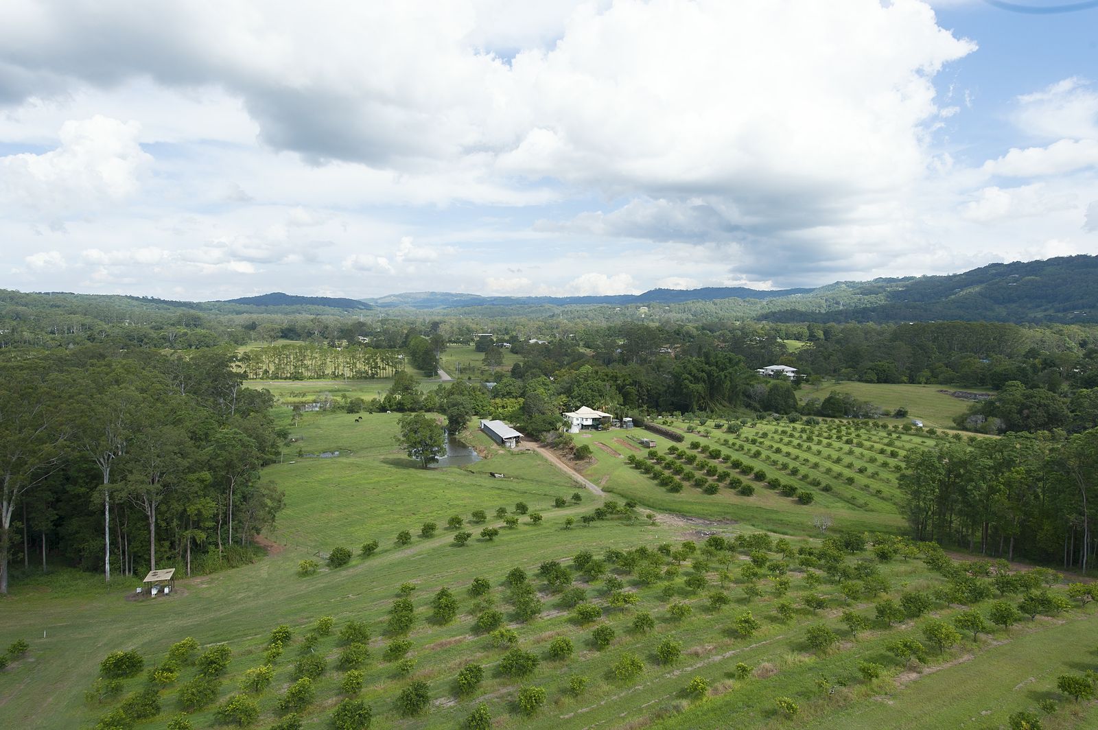 14 Merinda Drive Palmwoods Queensland House for Sale RE/MAX Australia