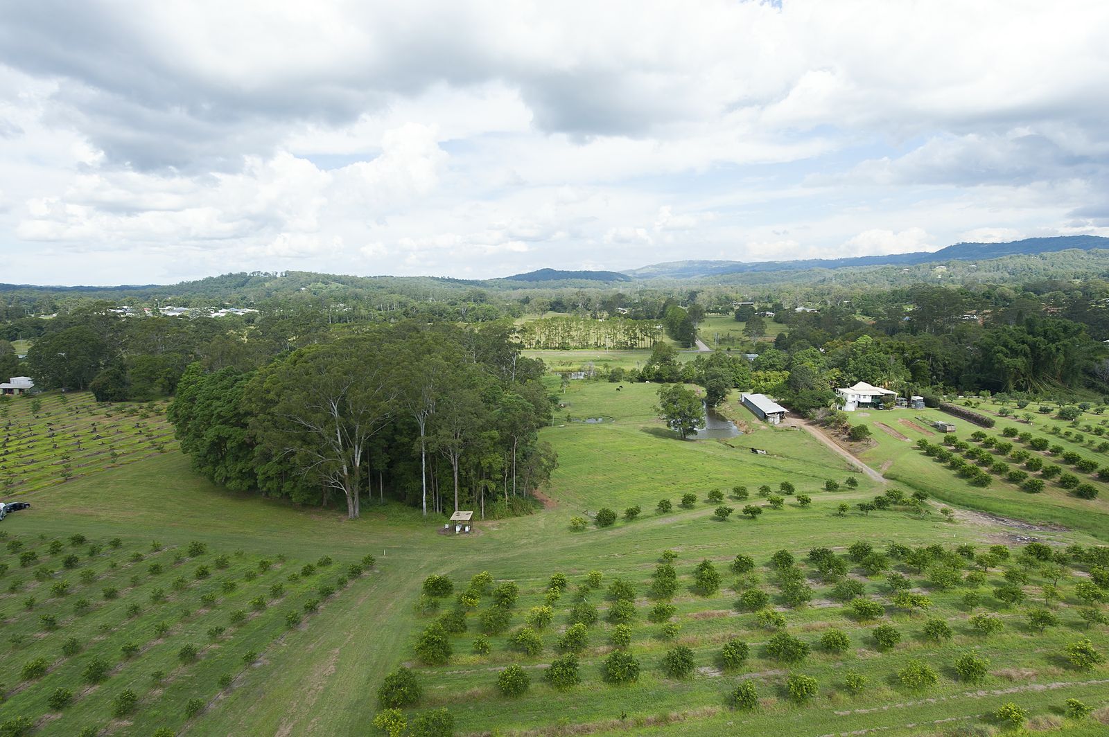 14 Merinda Drive Palmwoods Queensland House for Sale RE/MAX Australia