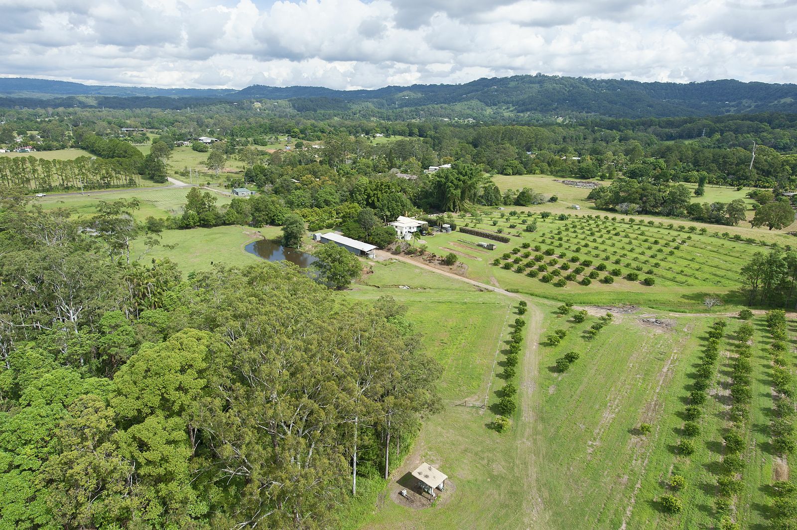 14 Merinda Drive Palmwoods Queensland House for Sale RE/MAX Australia