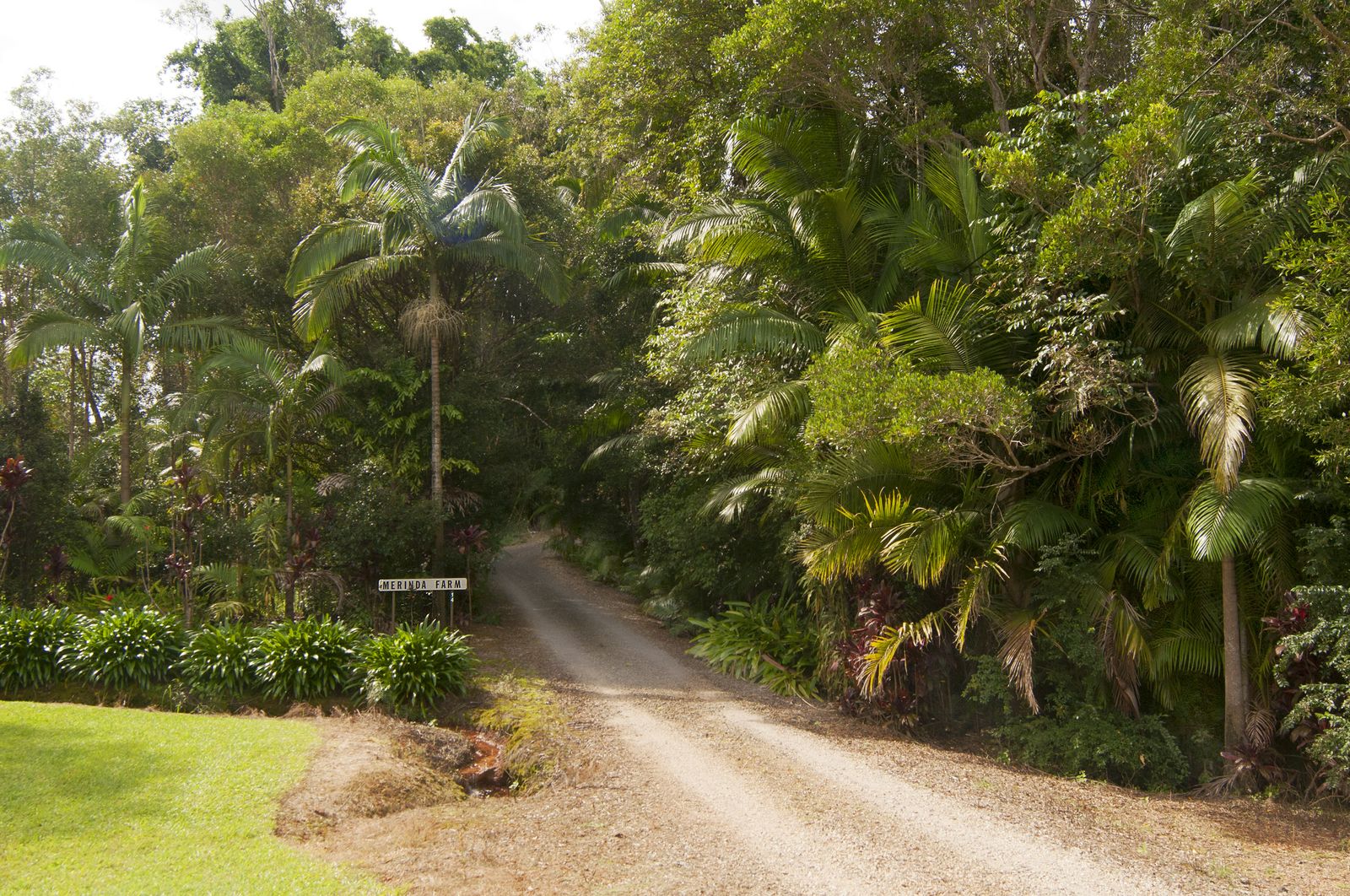 14 Merinda Drive Palmwoods Queensland House for Sale RE/MAX Australia