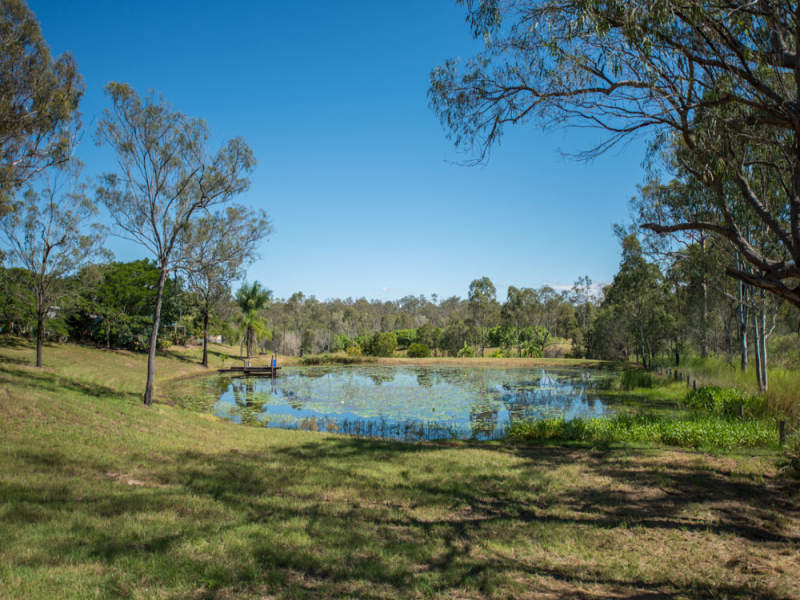 49471 Bruce Highway Benaraby Queensland AcreageSemirural for Sale RE