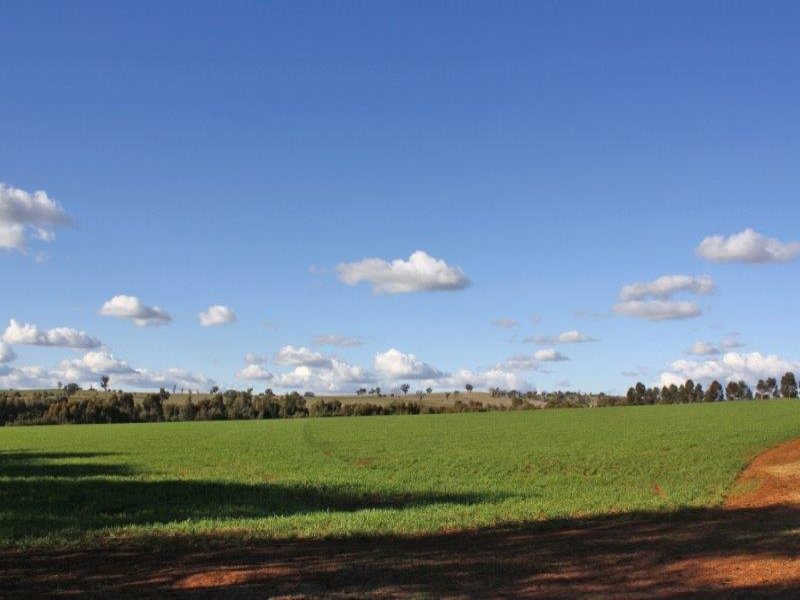 375 Roedigers Lane Junee New South Wales for Sale RE/MAX Australia