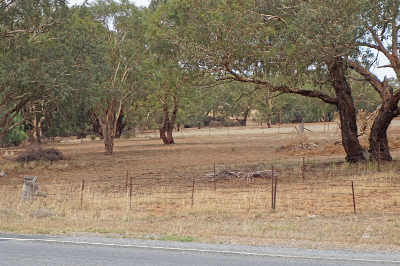 627 Goldfields Way Old Junee New South Wales for Sale RE/MAX Australia