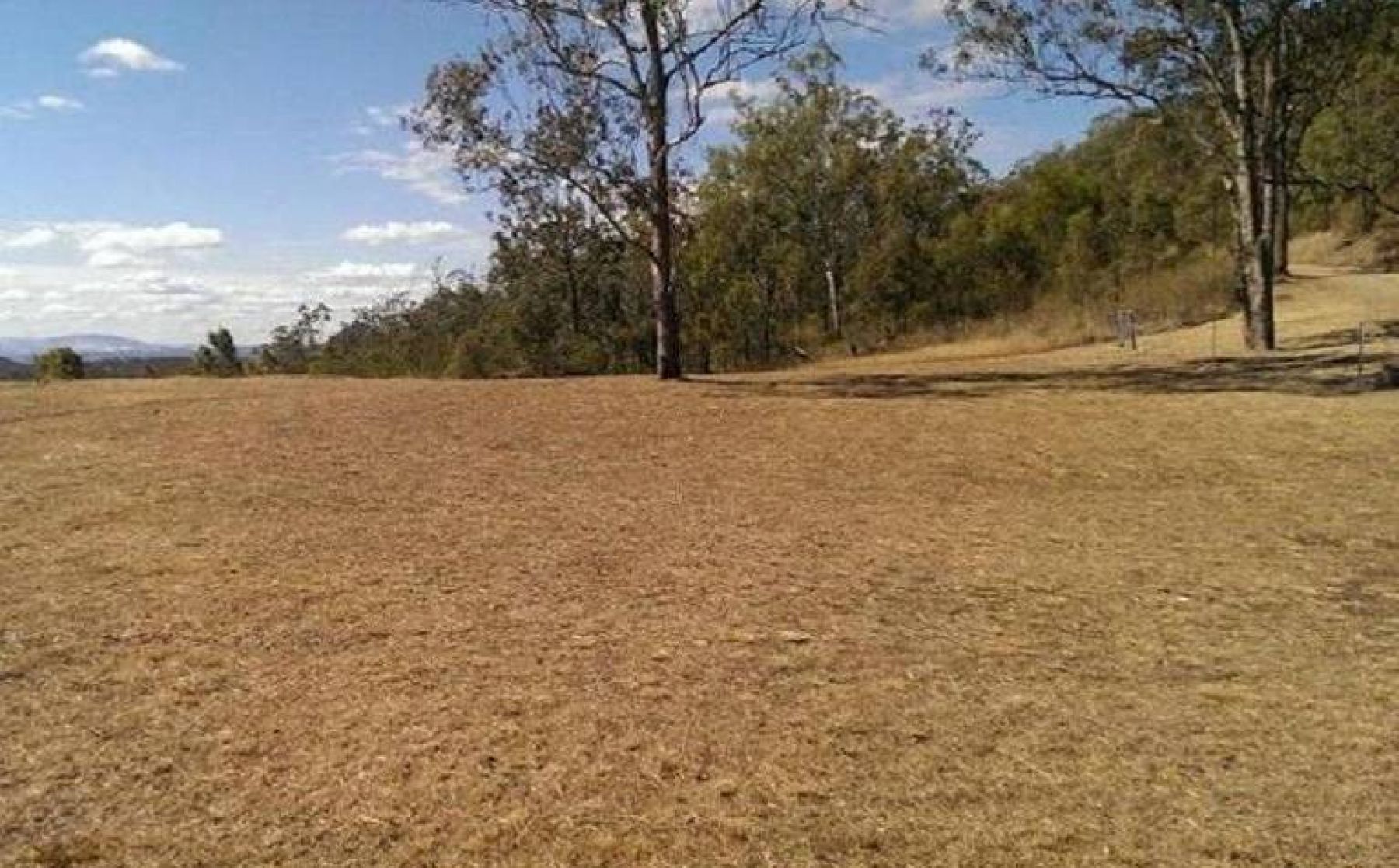 297 Upper Flagstone Creek Road Upper Flagstone Queensland for Sale RE