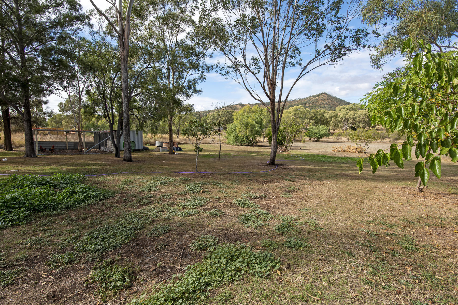 52 KingsthorpeGlencoe Road Kingsthorpe Queensland House for Sale RE