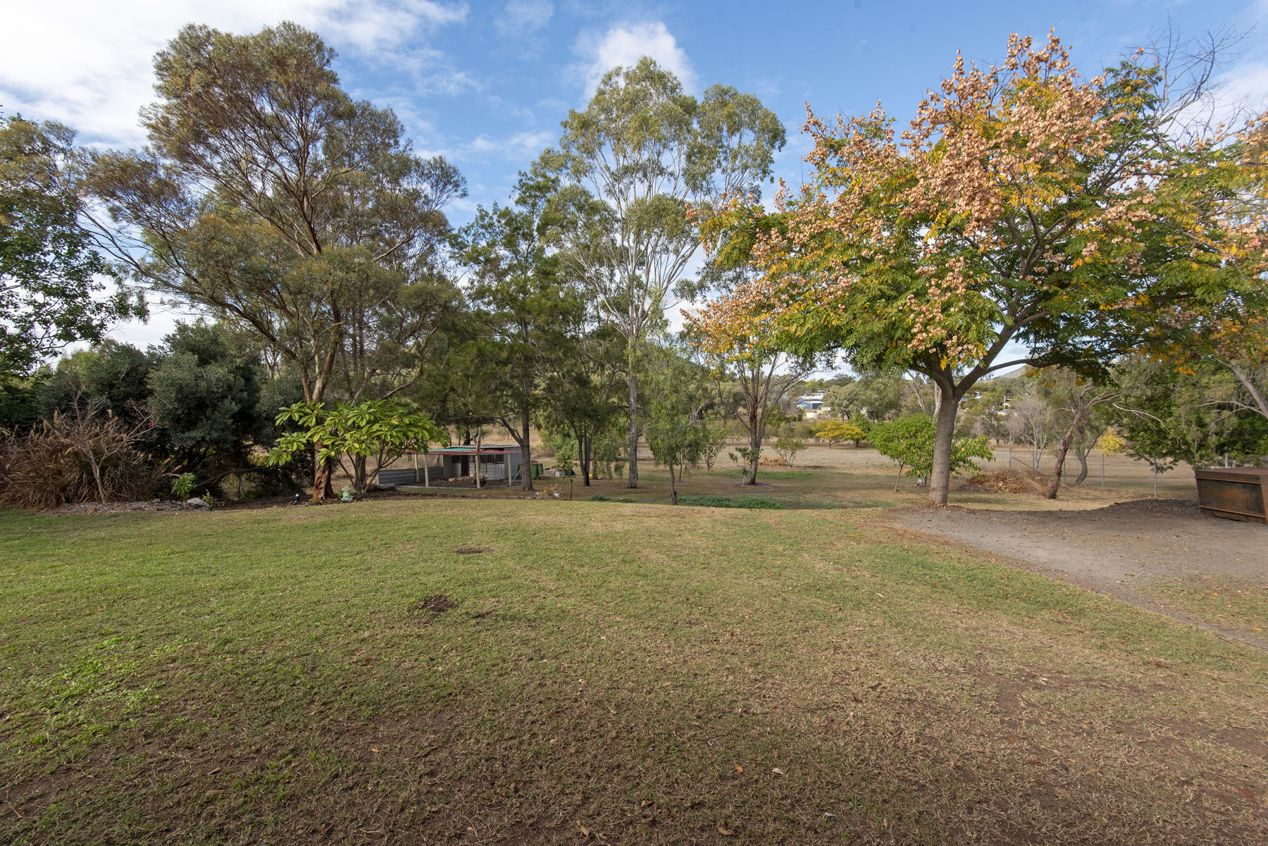 52 KingsthorpeGlencoe Road Kingsthorpe Queensland House for Sale RE