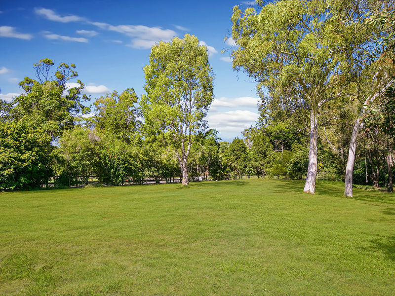 21 Thornton Drive Thornlands Queensland House for Sale RE/MAX Australia