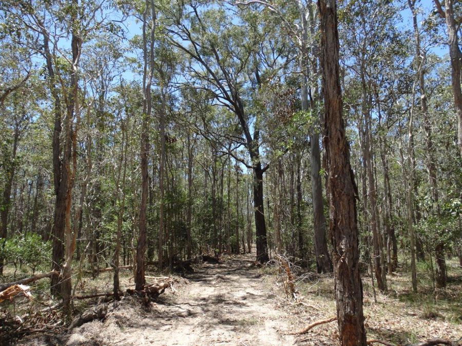 Lot 1 Coast Road Rules Beach Queensland for Sale RE/MAX Australia