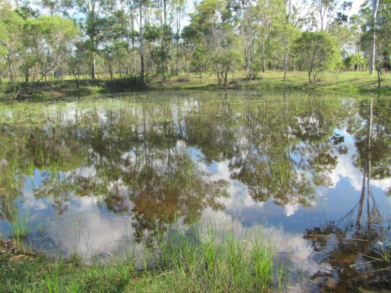 Lot 5 Oyster Creek Road Oyster Creek Queensland for Sale RE/MAX Australia