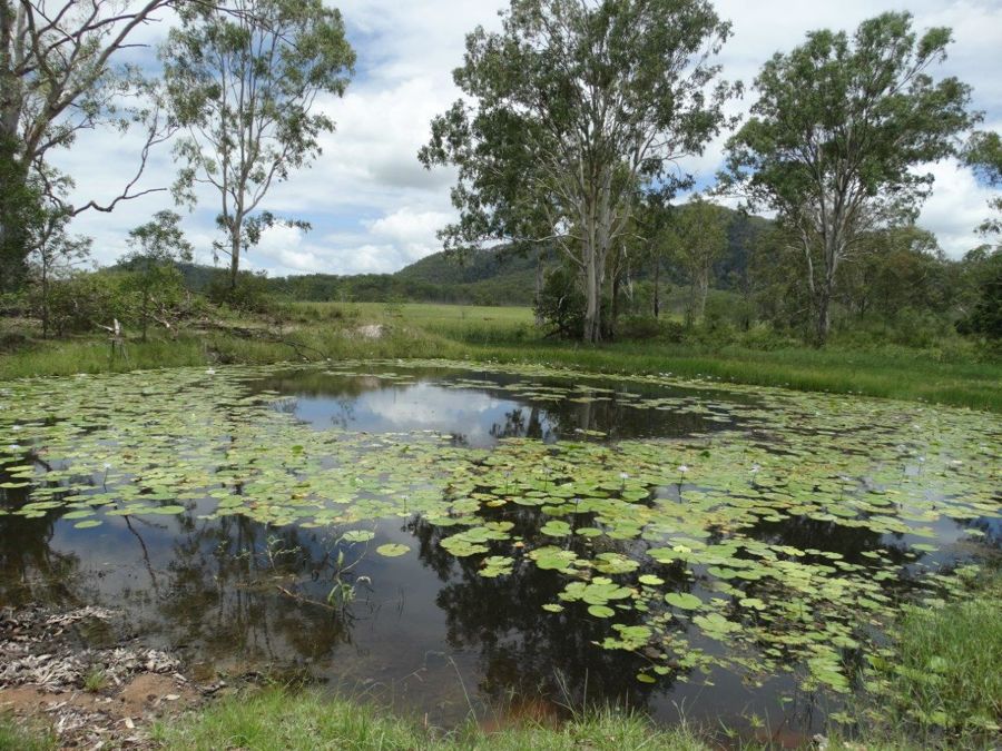 Lot 80 Kiora Road Miriam Vale Queensland for Sale RE/MAX Australia