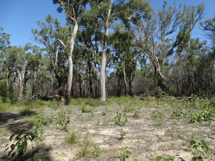 83 Deepwater Road Deepwater Queensland for Sale RE/MAX Australia