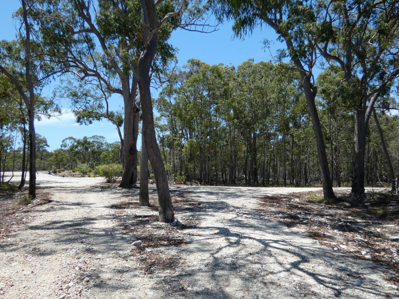 3 Lindy Drive Rules Beach Queensland for Sale RE/MAX Australia