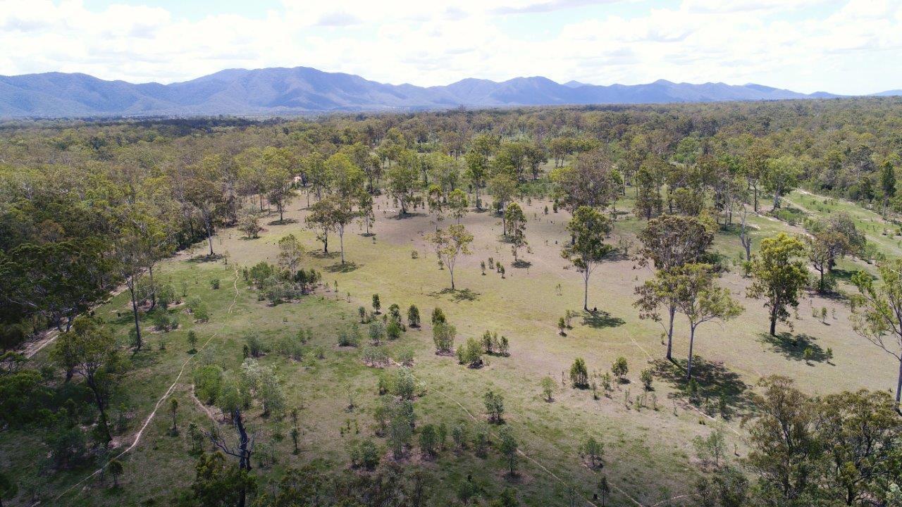 130 Blackmans Gap Road Miriam Vale Queensland for Sale RE/MAX Australia