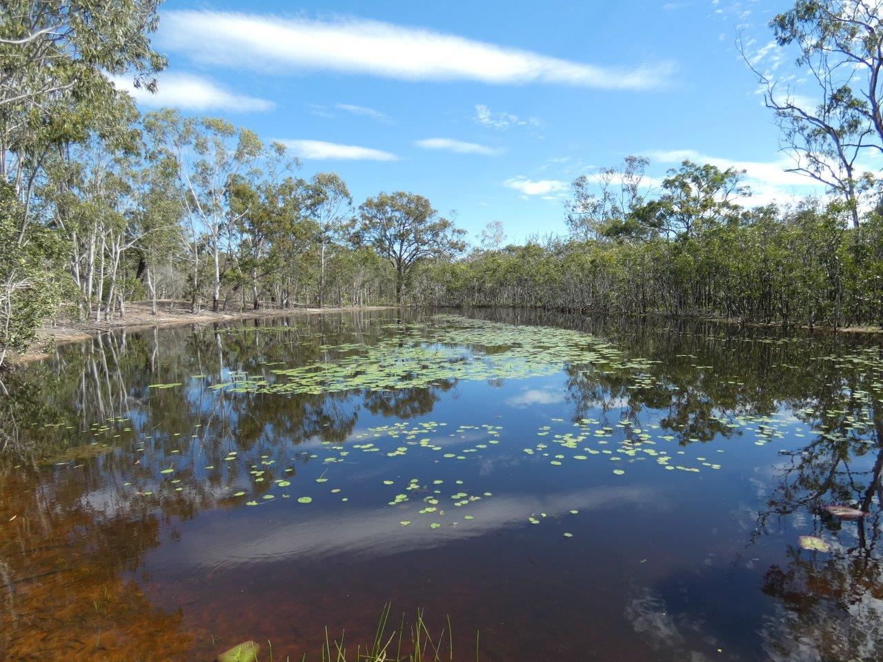 83 Deepwater Road Deepwater Queensland for Sale RE/MAX Australia