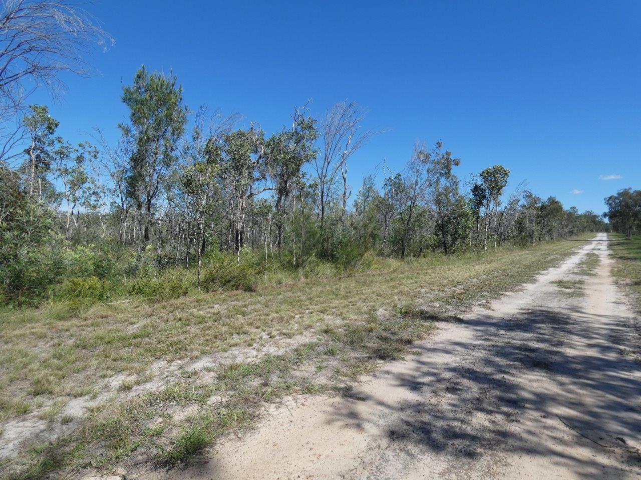 Lot 68 Oceanna Court Deepwater Queensland for Sale RE/MAX Australia