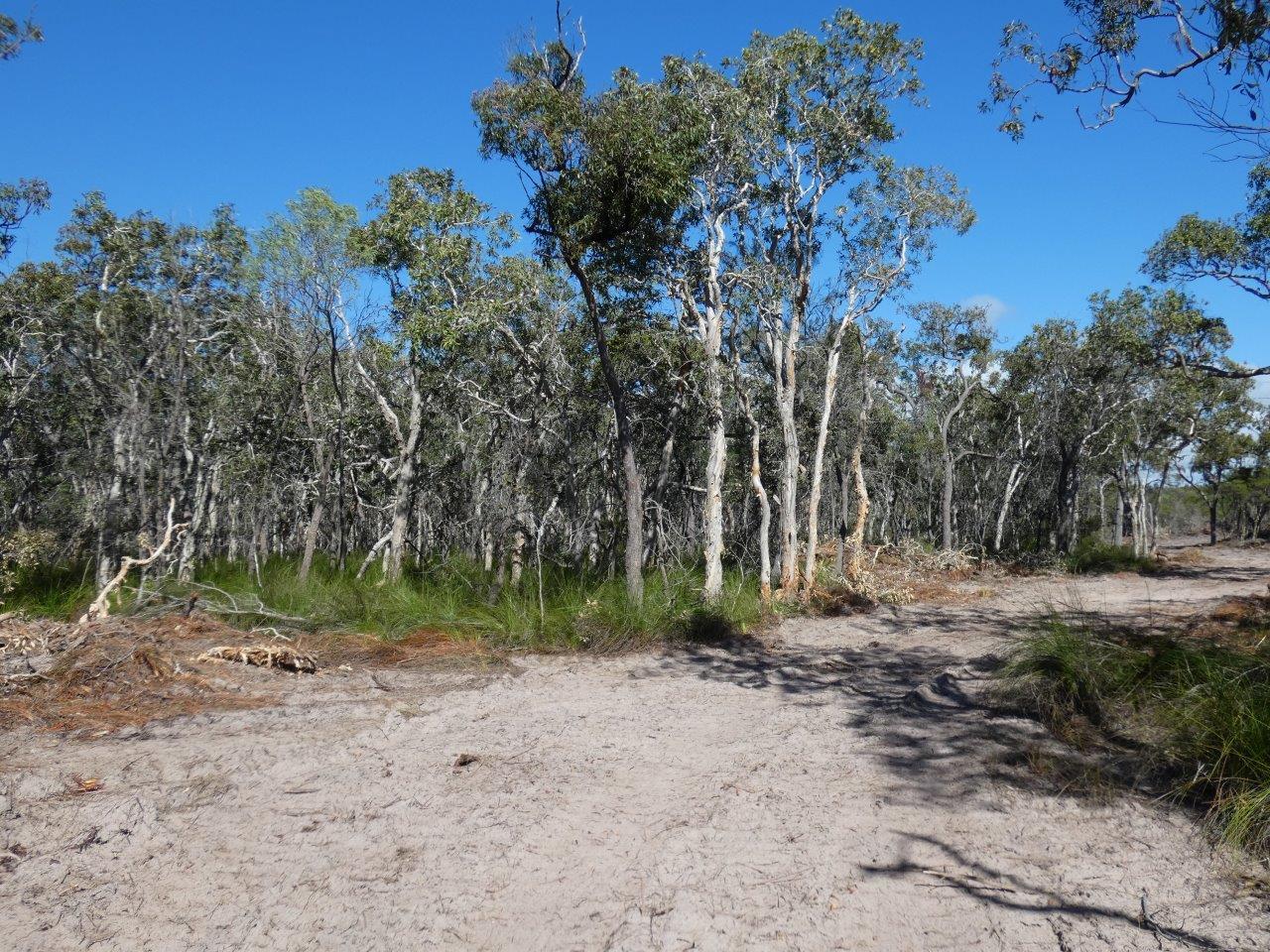 Lot 4 Fingerfield Road Rules Beach Queensland for Sale RE/MAX Australia