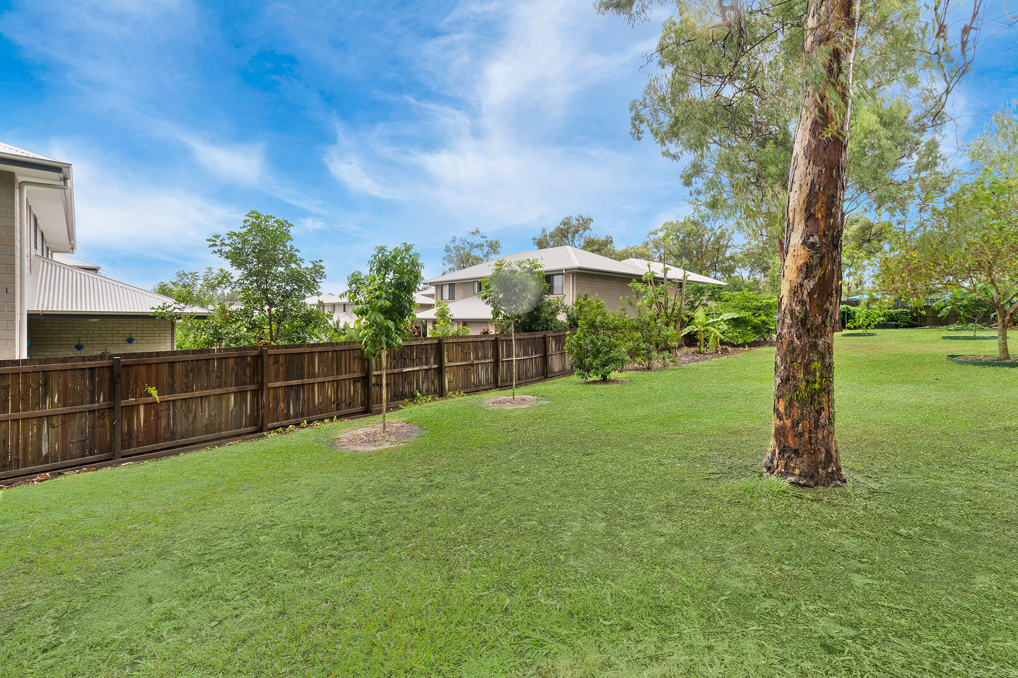 713 Fiddlewood Crt Park Ridge Queensland House for Sale RE/MAX Australia