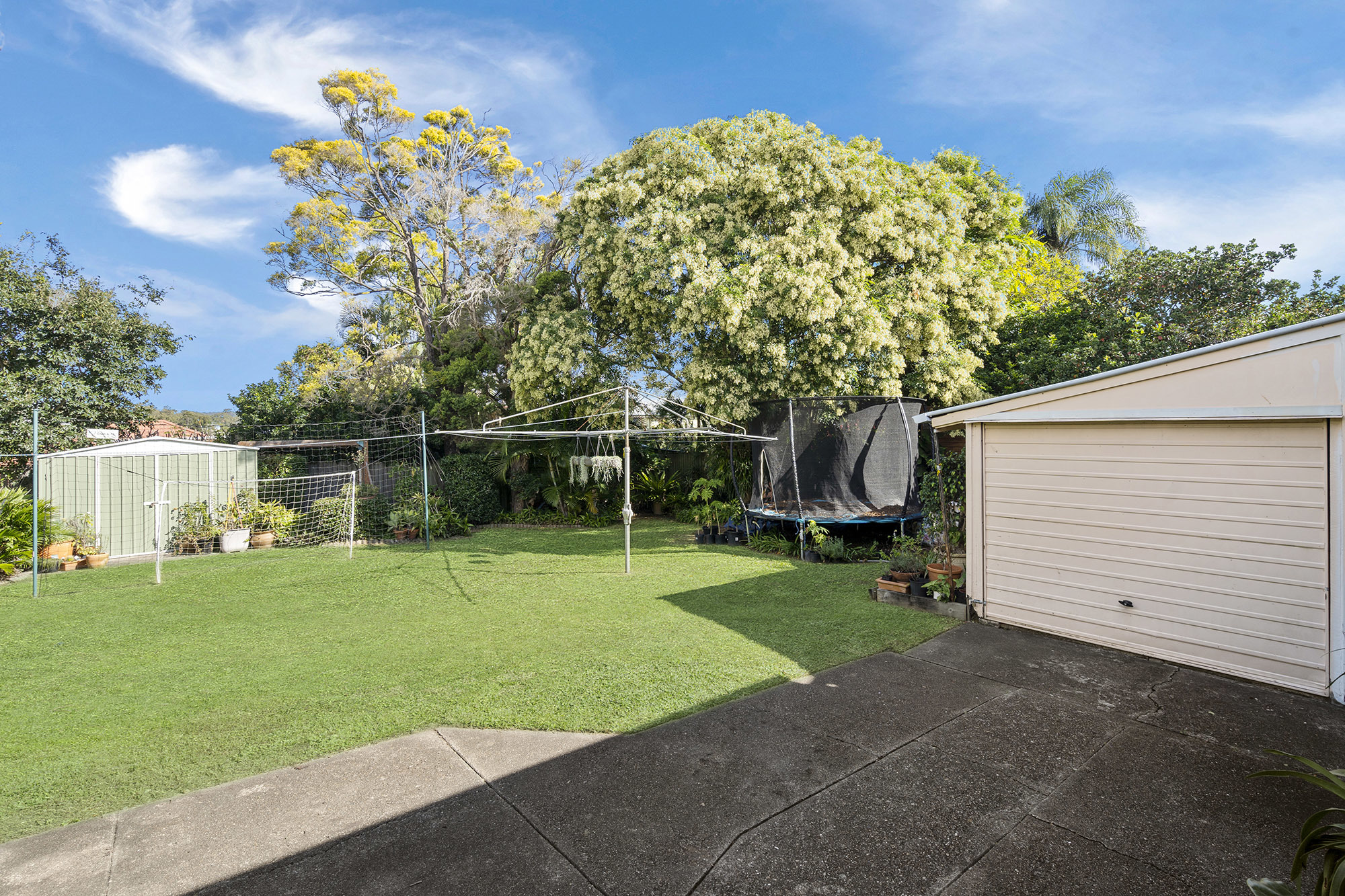 37 Newman Avenue Camp Hill Queensland House for Sale RE/MAX Australia