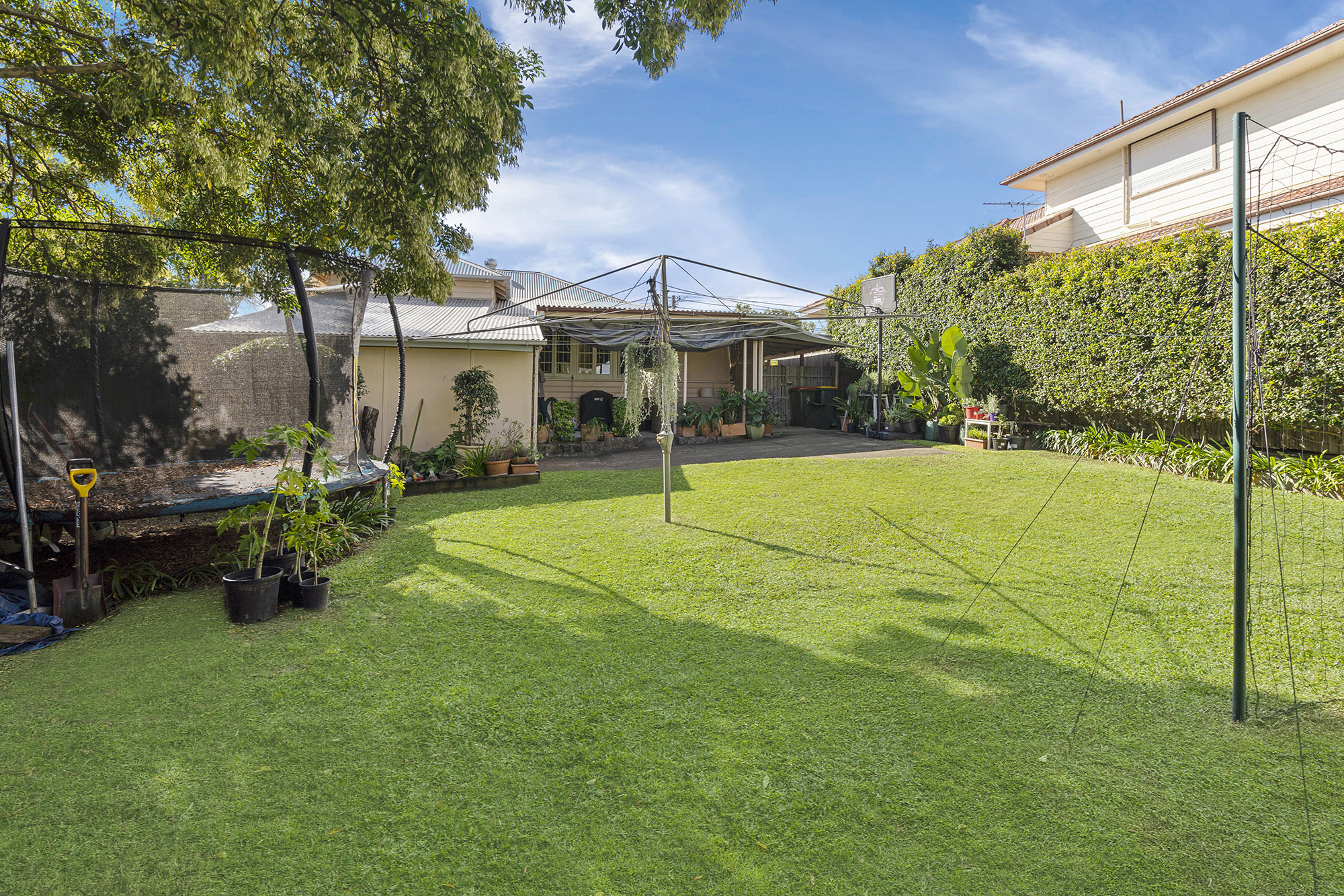 37 Newman Avenue Camp Hill Queensland House for Sale RE/MAX Australia