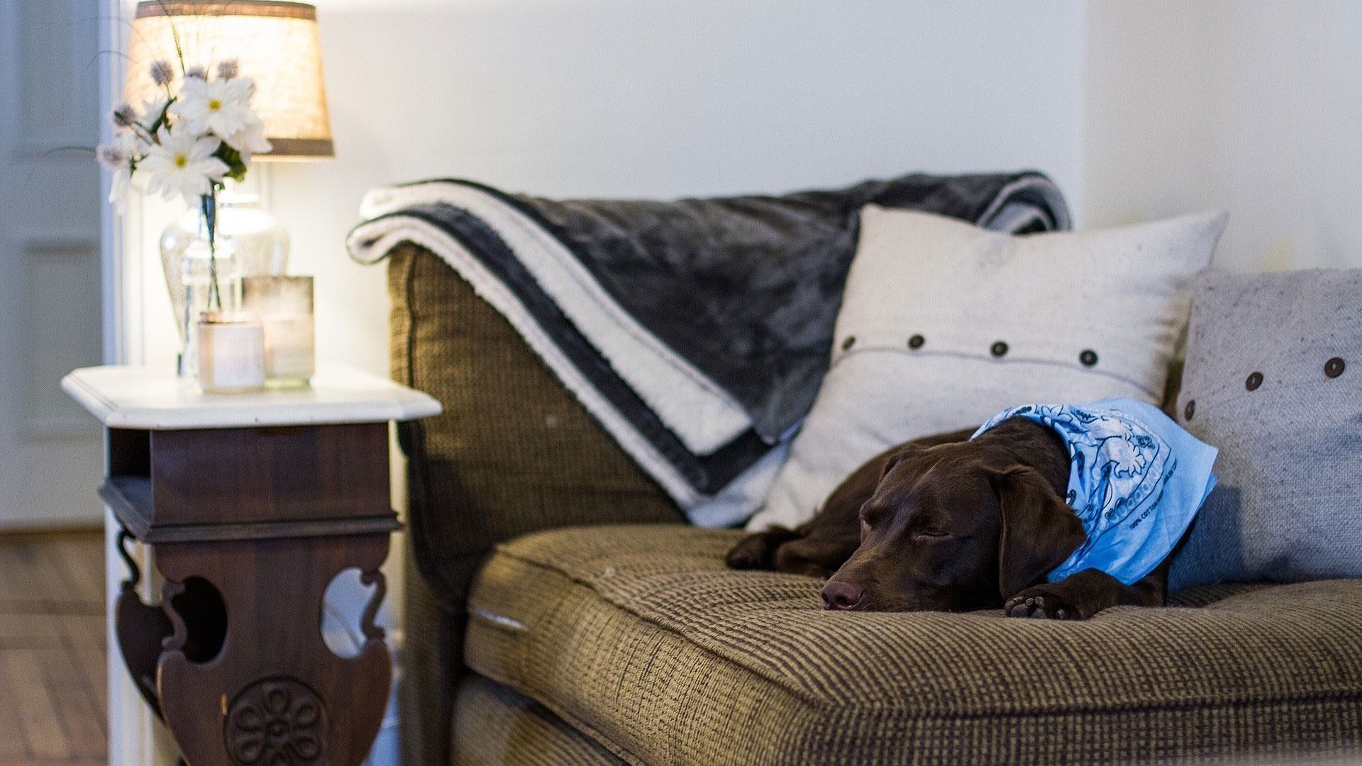 Showcase your property