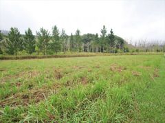 Property in Glenreagh - $49,000