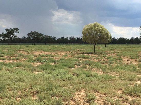 Farming Country