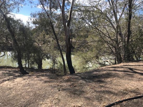 Quiet rural life style with Barwon river frontage Auction Date: 4th September 19 11 am onsite