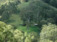 Property in Goorangoola - SOLD