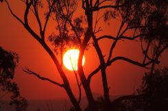 Property For Sale in Central Queensland