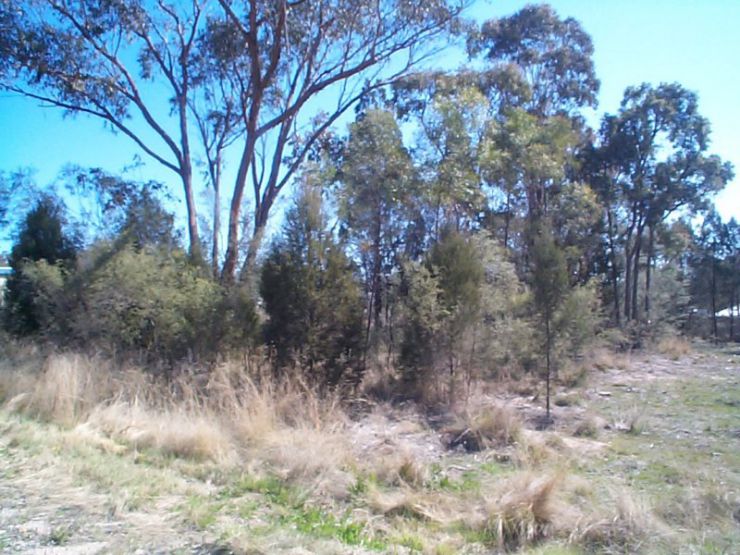 Property For Sale in Glen Aplin