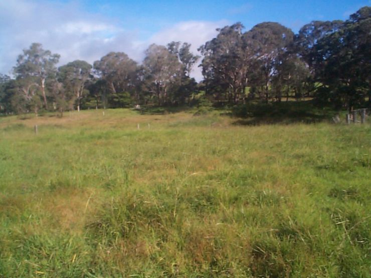 Property For Sale in Liston