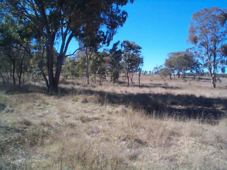 Property For Sale in Dalveen