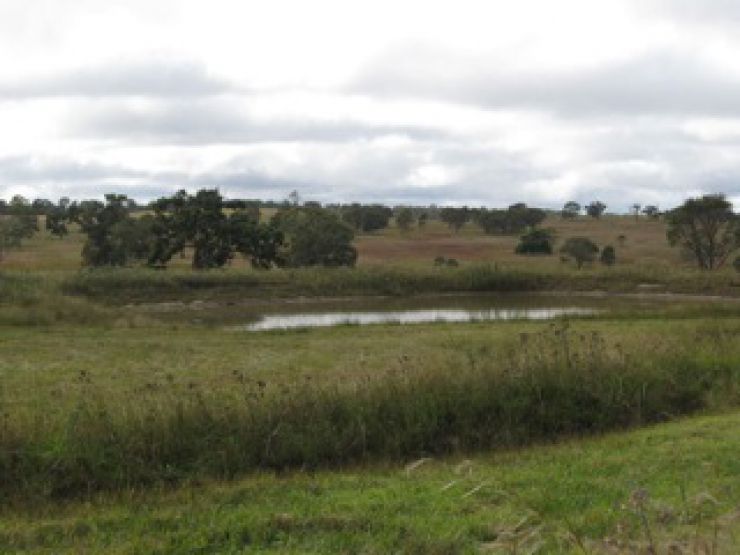 Property For Sale in Stanthorpe