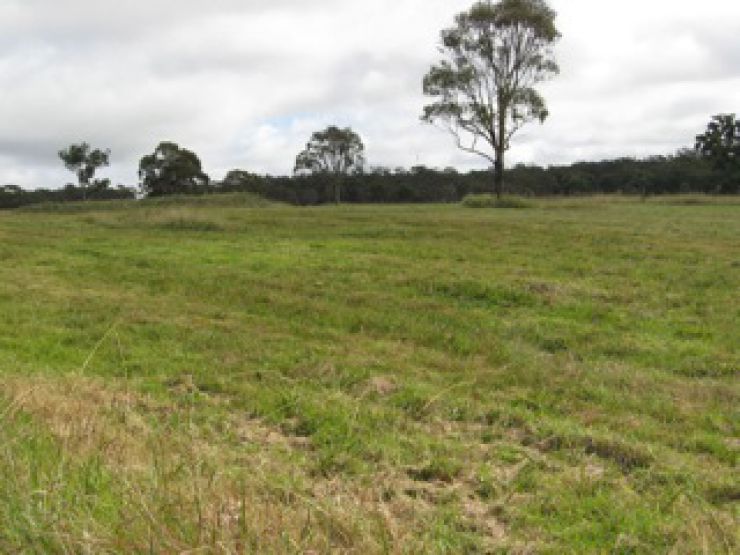 Stanthorpe Properties For Sale