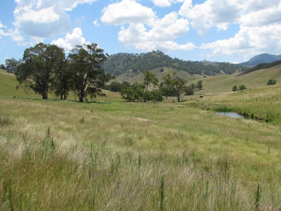 Both picturesque and productive, Bridgelands is a 426 Acre grazing property located in the much sought after Rouchel area.  An ideal lifestyle or graz
