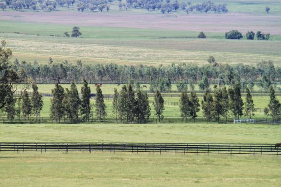 New commercial broodmare farm