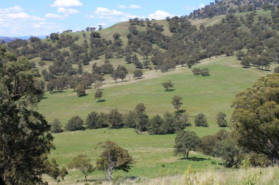 Private and exclusive grazing property