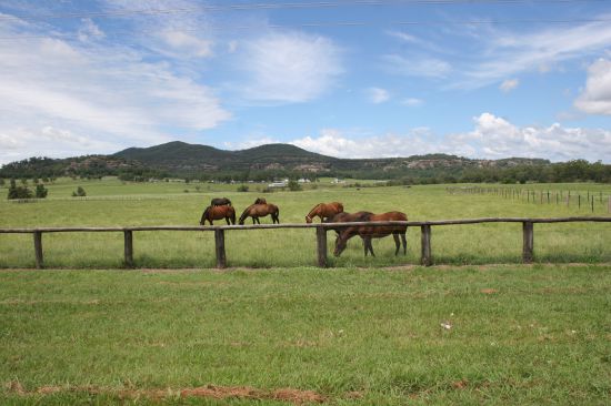 Centrally located and well developed horse farm