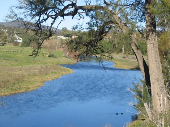 Diverse & productive Hunter River flats