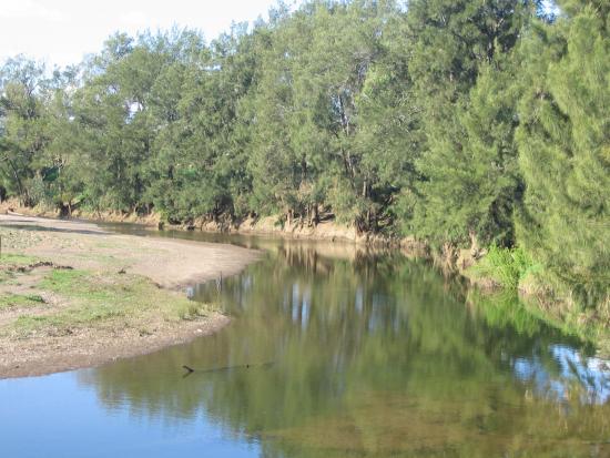 River front lifestyle acreage close to Scone