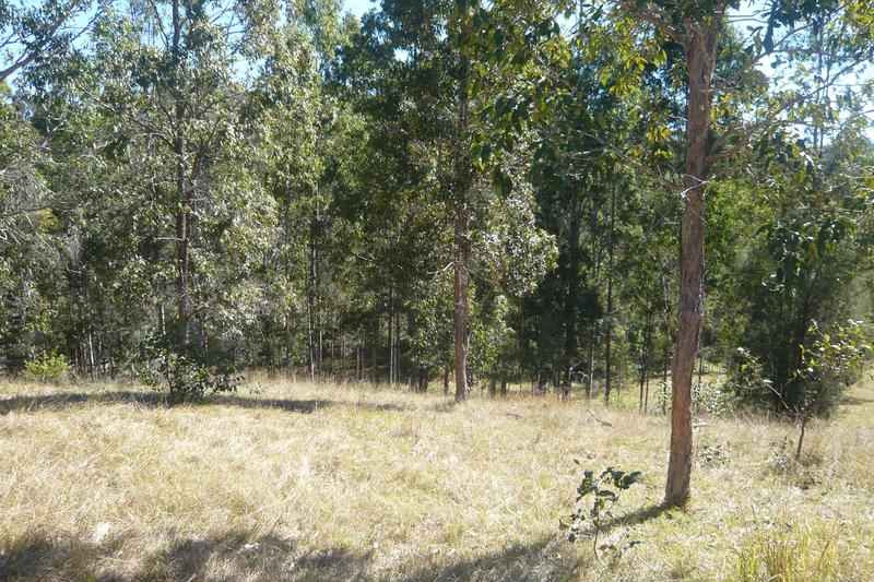 Property For Sale in Mallanganee