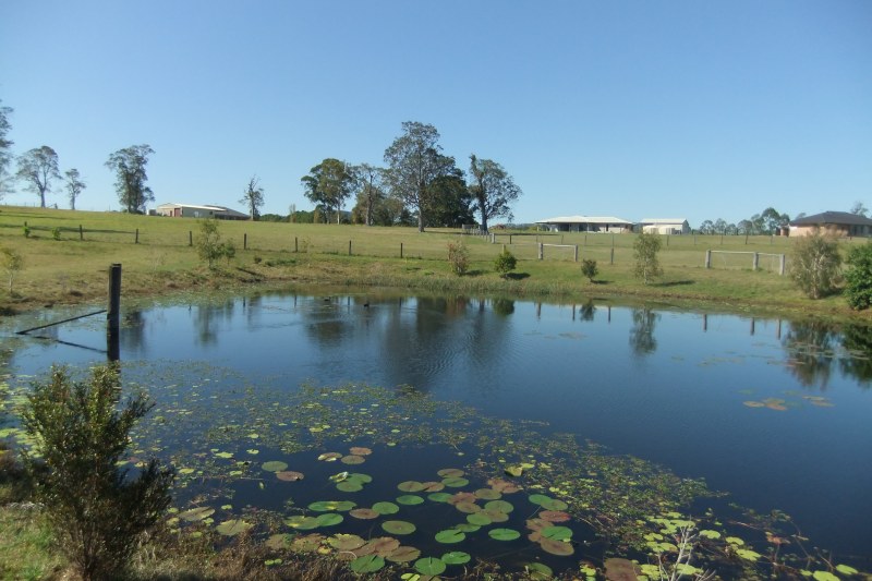 Property For Sale in North Casino