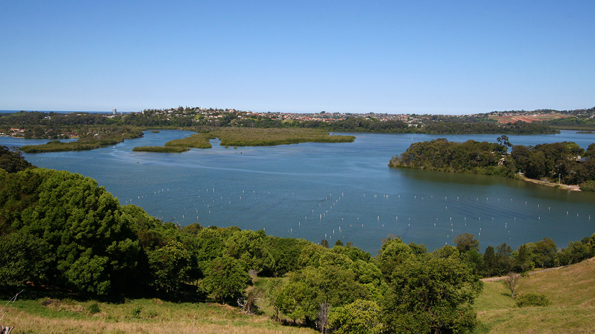 Bilambil Real Estate | LJ Hooker Coolangatta Tweed